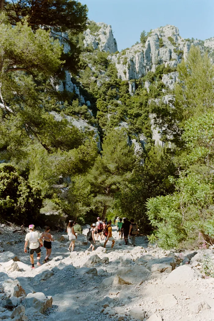 Groupe en randonnée dans un espace naturel à prendre en compte dans un programme estival