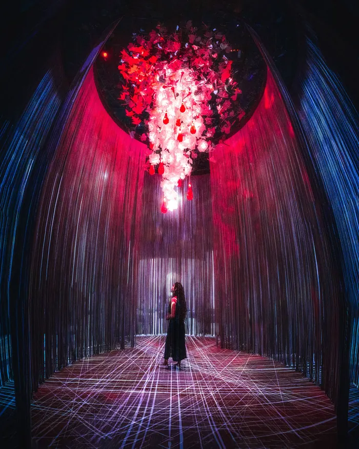 Scénographie immersive éclairée pour un événement de lancement de marque