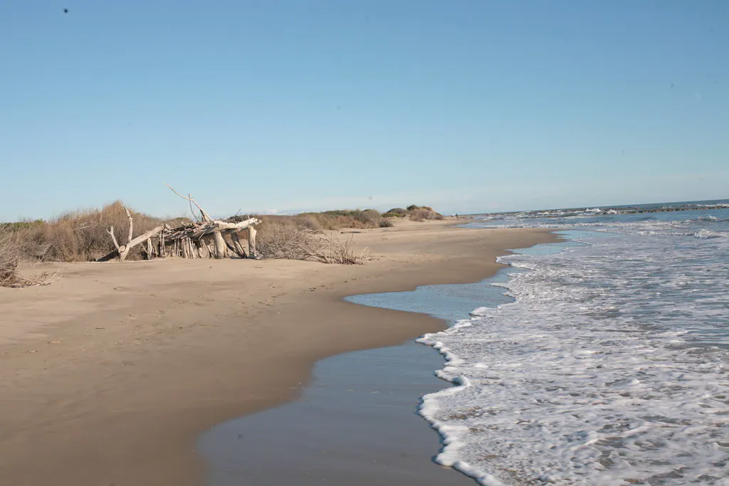 Plage et dunes du littoral méditerranéen, cadre d’un séminaire d’entreprise près de Montpellier