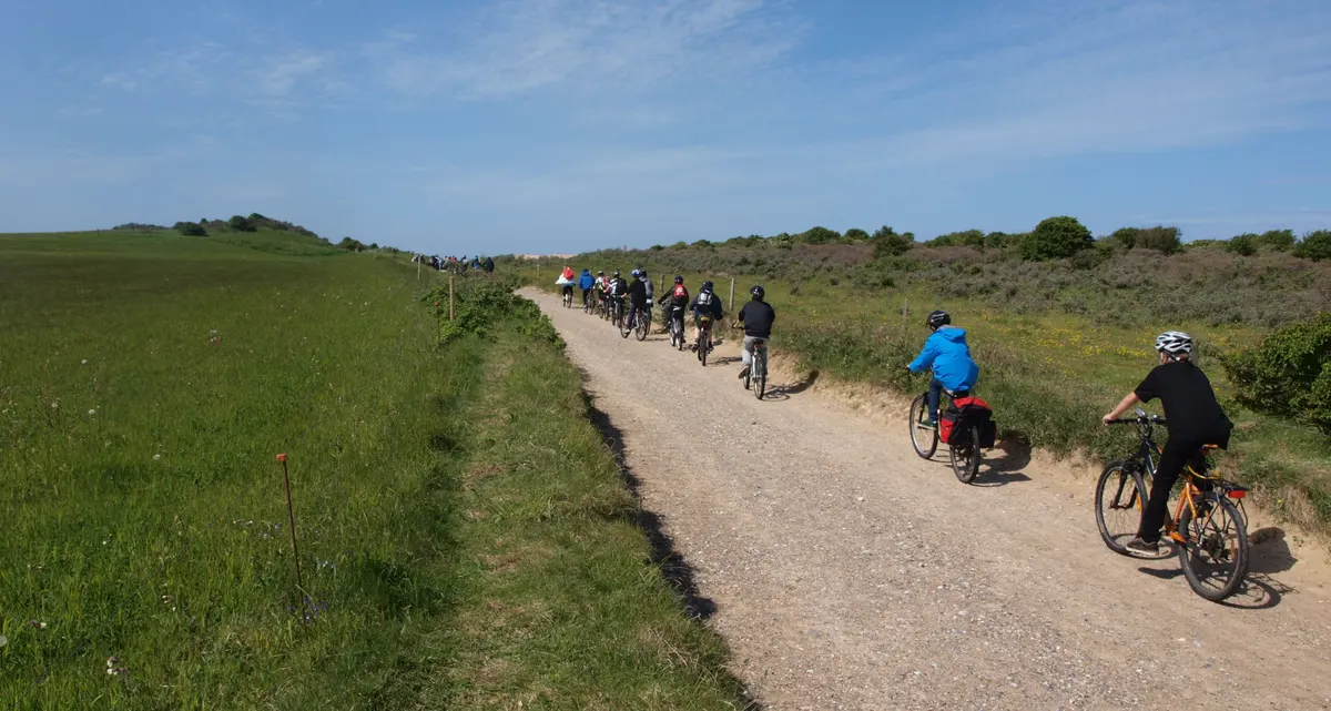 Corporate group cycling together during a team-building activity